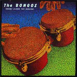 The Bongos - Drums Along The Hudson