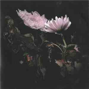 Lo Moon - Loveless