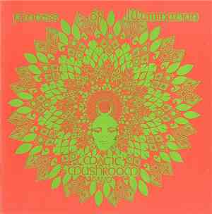 Magic Mushroom Band - Process Of Illumination