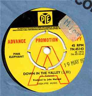 Pink Elephant  - Down In The Valley