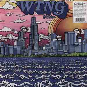 Various - WTNG 89.9 FM: Solid Bronze
