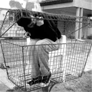 Adrián Juárez - Koala