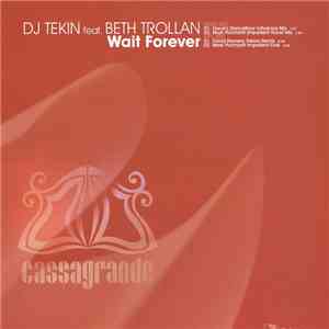 DJ Tekin - Wait Forever