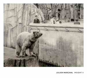 Julien Marchal - Insight II