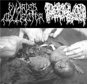Ovaries Collector / Dissolved  - Ovaries Collector / Dissolved