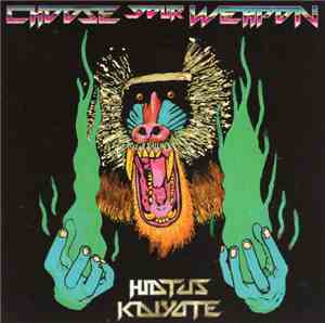 Hiatus Kaiyote - Choose Your Weapon