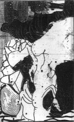 Broth House - Smoke On Septic Moss