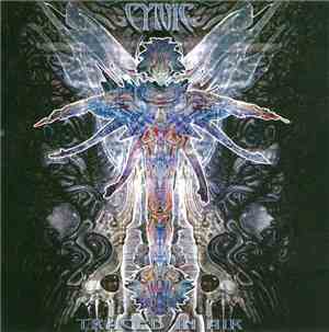 Cynic  - Traced In Air