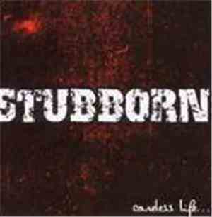 Stubborn - Careless Life...