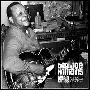 Big Joe Williams - Tough Times
