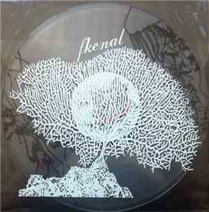 Fkenal - In Media Res