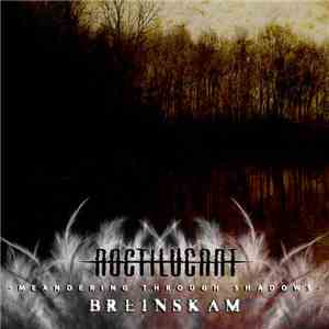 Noctilucant & Breinskam - Meandering Through Shadows