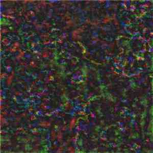 Noiseoftworoses - Drone_01