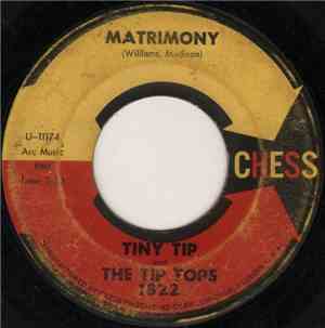 Tiny Tip And The Tip Tops - Matrimony