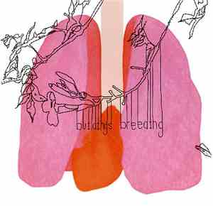 Buildings Breeding - Buildings Breeding