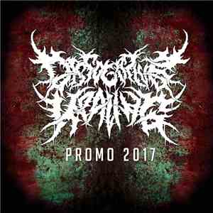 DISSOCIATIVE HEALING - Promo 2017
