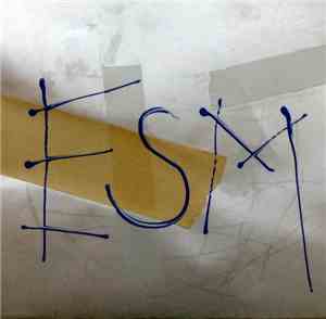 ESM - nESMysl
