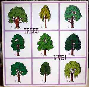 Trees  - Live !