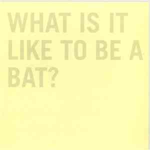 100Records - What It Is Like To Be A Bat?