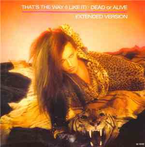 Dead Or Alive - That's The Way (I Like It) (Extended Version)