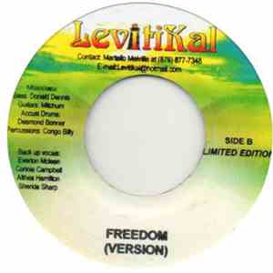 Delroy Willis - Calling All Freedom Fighters