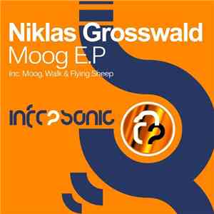 Niklas Grosswald - Moog E.P