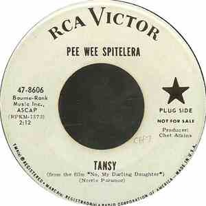 Pee Wee Spitelera - Tansy