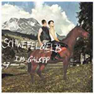 Schwefelgelb - Im Galopp