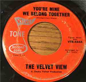 The Velvet View - You're Mine We Belong Together