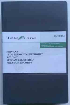 Nirvana - You Know You're Right
