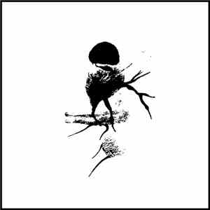 Testing Vault - TSALAL