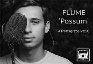 Flume - Possum