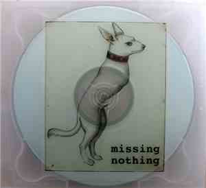 Various - Missing Nothing