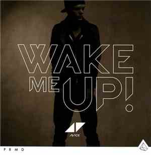 Avicii - Wake Me Up