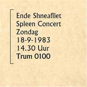 Ende Shneafliet - Spleen Concert 18.9.83