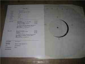 The Gun Club - Pastoral Hide & Seek