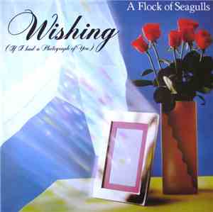 A Flock Of Seagulls - Wishing (If I Had A Photograph Of You)