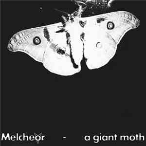 Melcheor - A Giant Moth