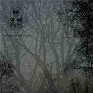 Rain In The Autumn Forest - Наедине со своей болью