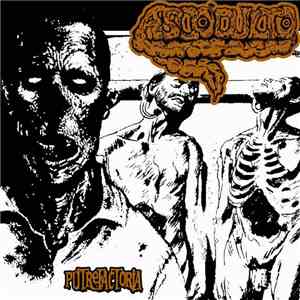 Ascoculto - Putrefactoria
