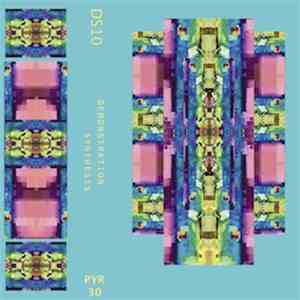 Demonstration Synthesis - DS10