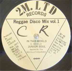 Junior Soul Backed By The The Revolutionaries - In This World