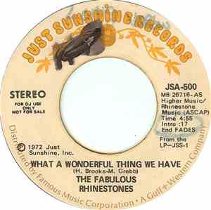 The Fabulous Rhinestones - What A Wonderful Thing We Have