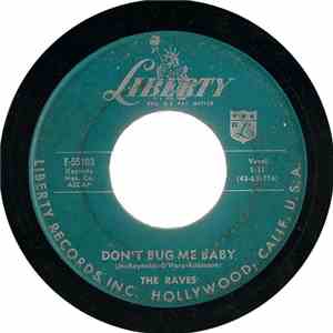 The Raves  - Don't Bug Me Baby / If I Knew The Way