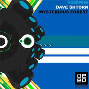 Dave Shtorn - Mysterious Forest
