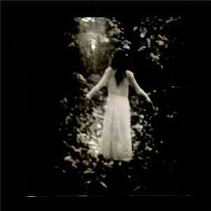 Day Before Us - Autumnal Wandering