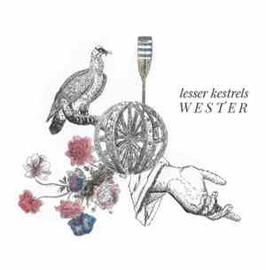 Lesser Kestrels - Wester