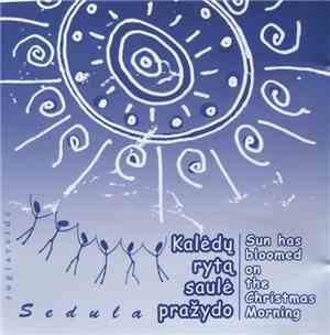 Rugiaveidė, Sedula - Kalėdų Rytą Saulė Pražydo