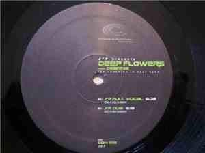 JF Presents Deep Flowers Featuring Deanna - The Sunshine In Your Eyes