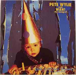 Pete Wylie And Wah! The Mongrel... - Don't Lose Your Dreams (The Cabaret Vo ...